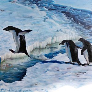 #2 Adélie Penguins Jumping The Crack