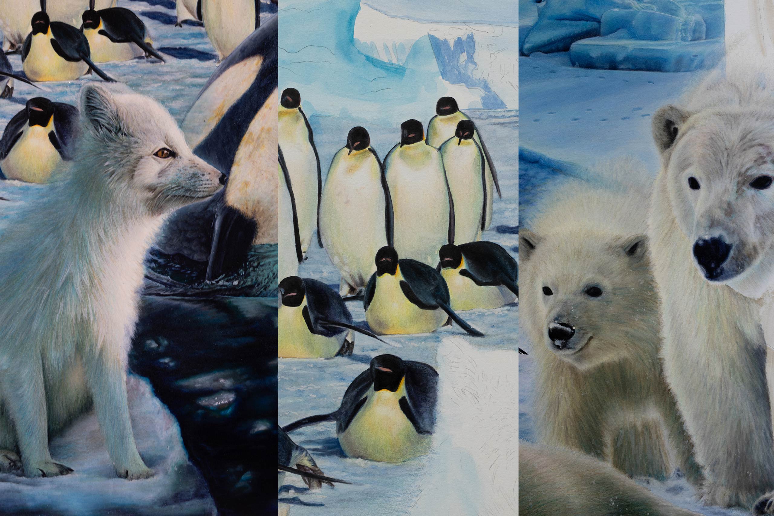 Mr Artic Fox, Polar Bear Mother and Cub, Emperor Penguins: The March